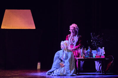 Agrandir l'image 7 sur 21, fenêtre modale