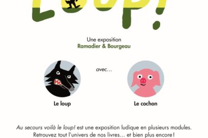 Agrandir l'image, fenêtre modale