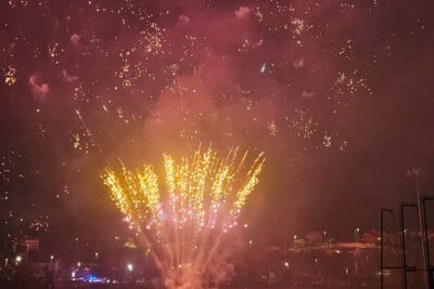 Agrandir l'image 1 sur 1, fenêtre modale