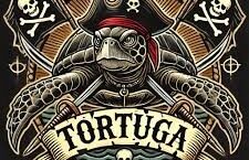 Tortue déguisée en pirate avec drapeaux et sabres de pirates
