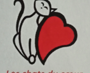 Un chat contre un cœur rouge