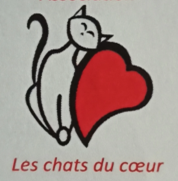 Un chat contre un cœur rouge