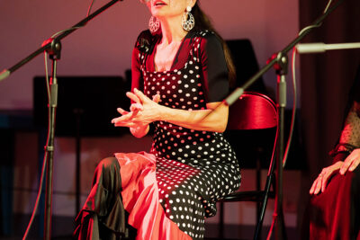 Agrandir l'image 17 sur 31, fenêtre modale