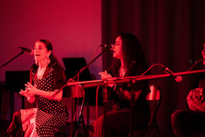 Agrandir l'image 16 sur 31, fenêtre modale