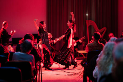 Agrandir l'image 19 sur 31, fenêtre modale