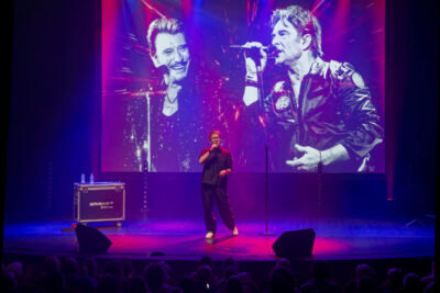 Agrandir l'image 8 sur 12, fenêtre modale