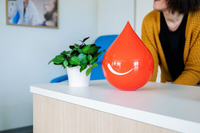 Agrandir l'image 22 sur 22, fenêtre modale