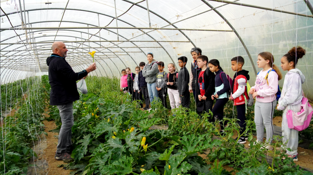 Agrandir l'image, fenêtre modale
