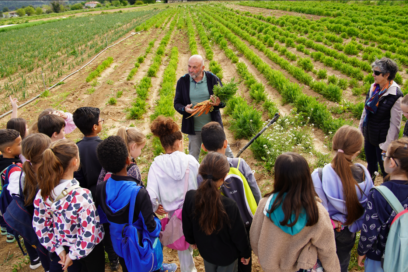 Agrandir l'image, fenêtre modale