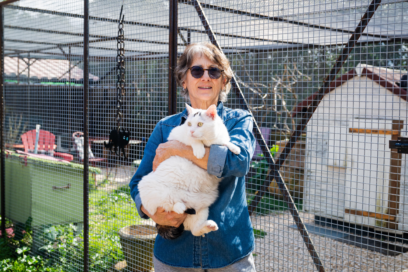 Agrandir l'image, fenêtre modale