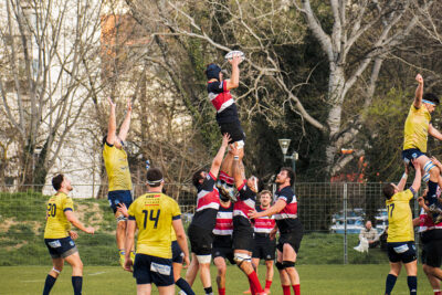 Agrandir l'image 38 sur 40, fenêtre modale