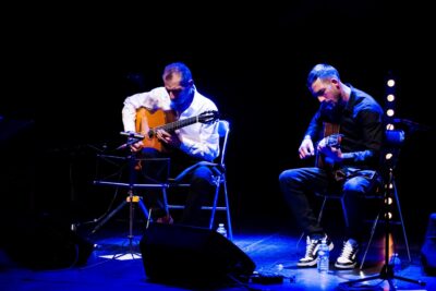 Agrandir l'image 9 sur 15, fenêtre modale