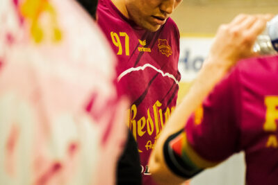 Agrandir l'image 18 sur 26, fenêtre modale