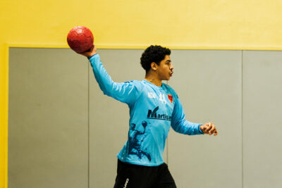 Agrandir l'image 10 sur 26, fenêtre modale