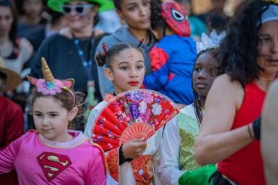 Agrandir l'image 12 sur 16, fenêtre modale