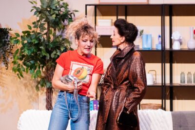 Agrandir l'image 12 sur 15, fenêtre modale