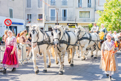 Agrandir l'image 3 sur 21, fenêtre modale